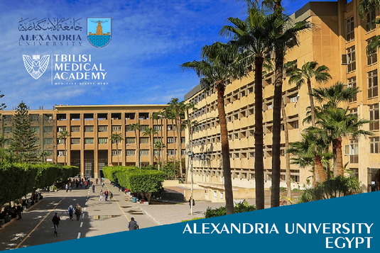 Memorandum with the University of  Alexandria 
