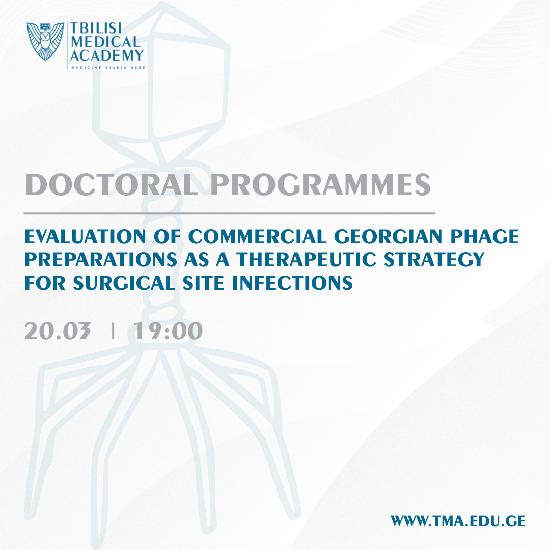 საინფორმაციო შეხვედრა -  სადოქტორო პროგრამა