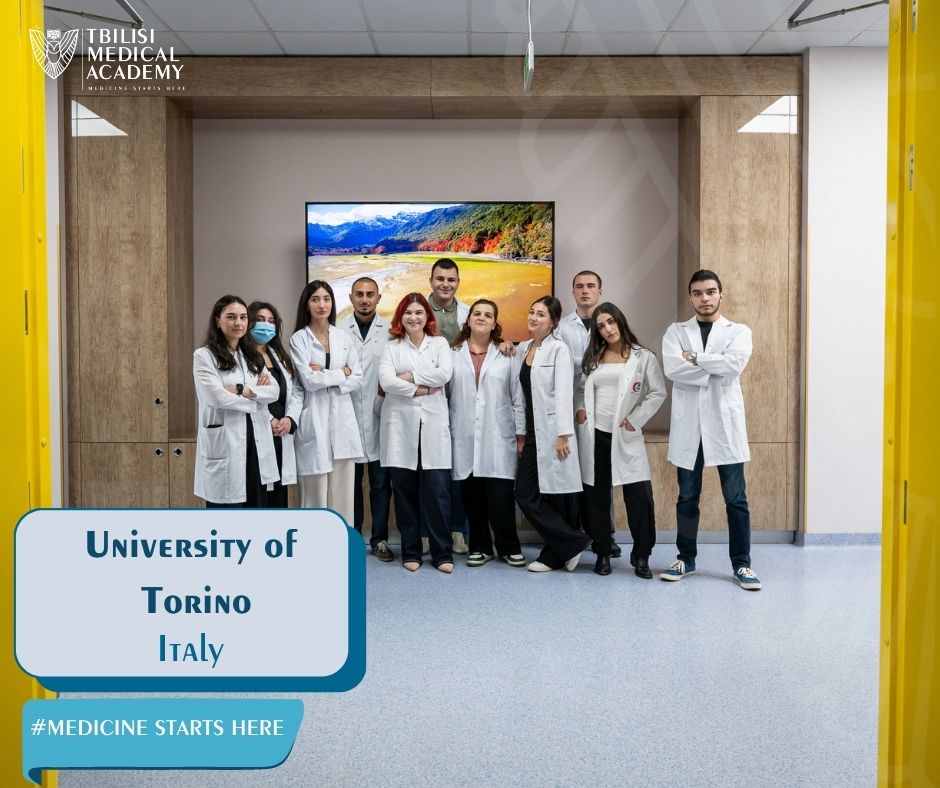 Semester Exchange Program at University of Torino, Italy