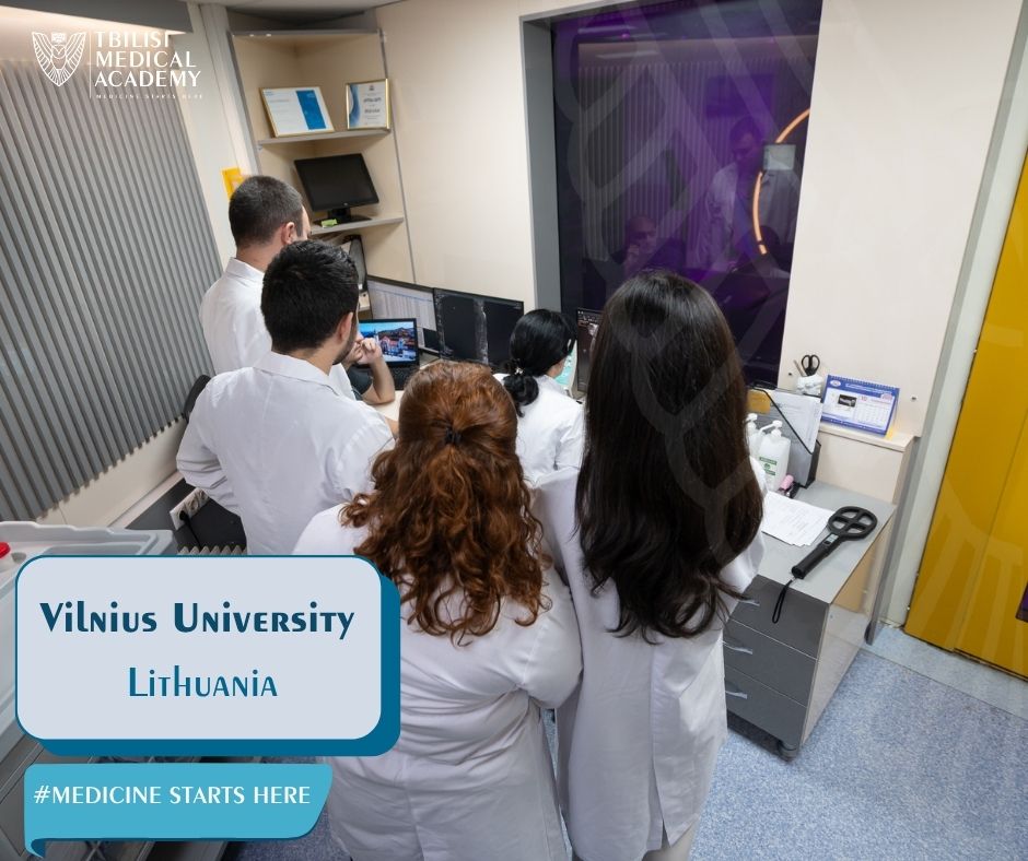 Semester Exchange Program at Vilnius University, Lithuania