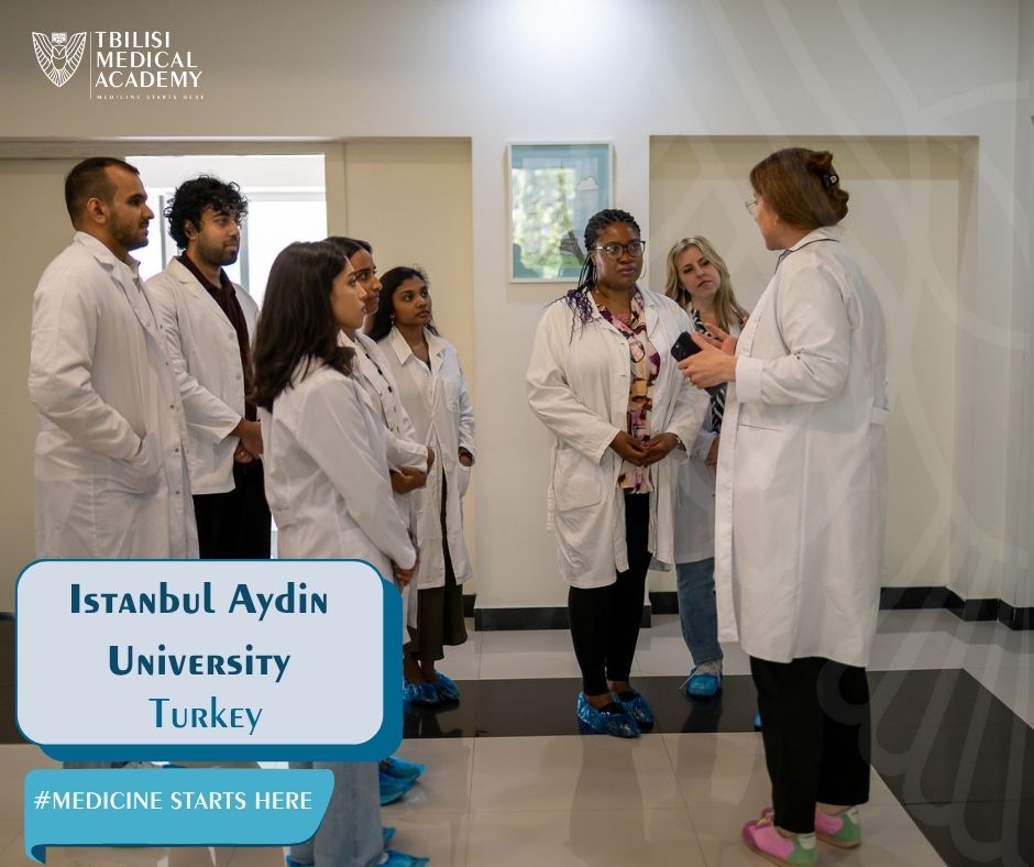 Semester Exchange Program at Istanbul Aydin University, Turkey