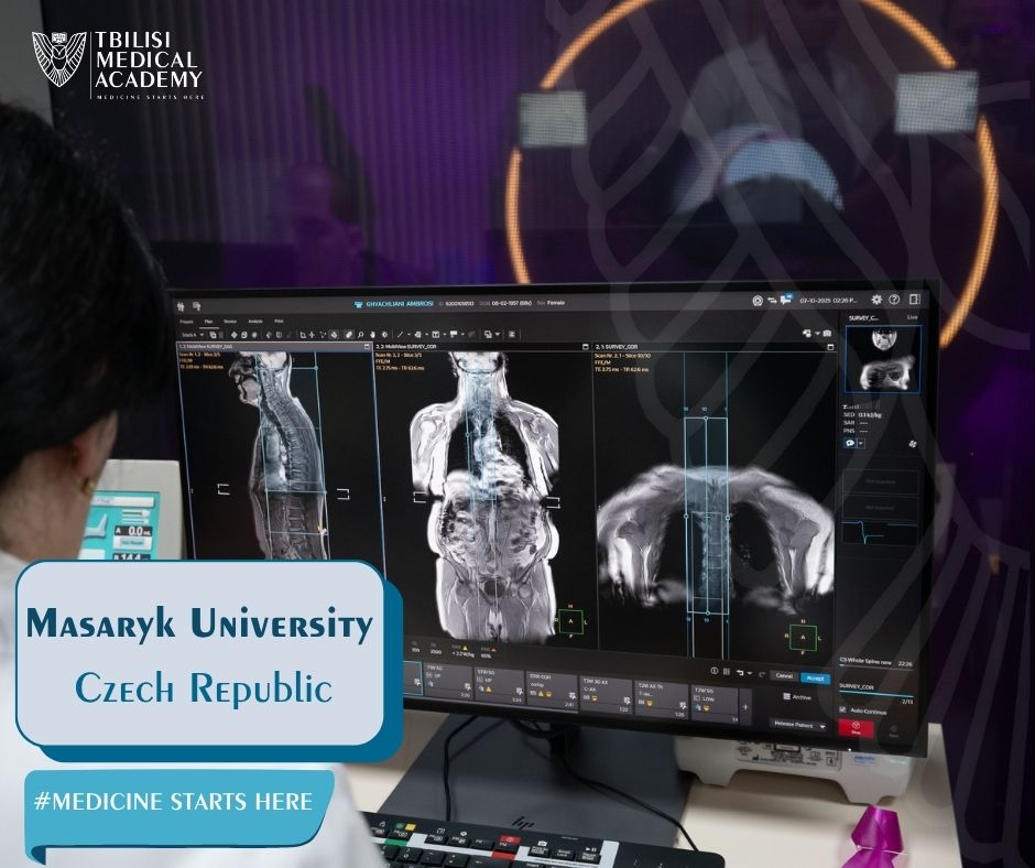 Semester Exchange Program at Masaryk University, Czech Republic