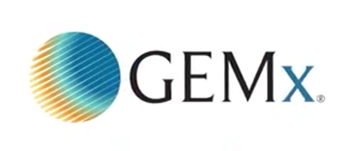 გლობალური საგანმანათლებლო გაცვლა მედიცინასა და ჯანდაცვის პროფესიებში (GEMx)